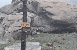 Cleared area with large boulders 
