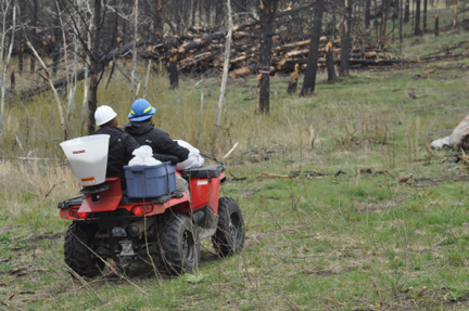 Two men on red ATV with seed spreader on vehicle s back 