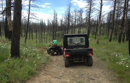 Two ATVs travel on dirt road between burned trees 