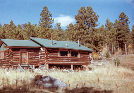 Brown log cabin with green roof in field of dry grass 