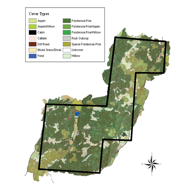 Pre-fire vegetation map of the Rogers Research Site