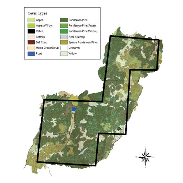 Pre-fire vegetation map of the Rogers Research Site