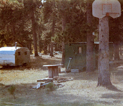 Two camping trailers  one silver and the other dark green  sit among tall ponderosa pine trees  In the foreground is a limbed pine tree with a basketball hoop backboard without a net attached 