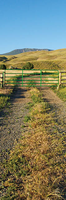 photo of ranch gate