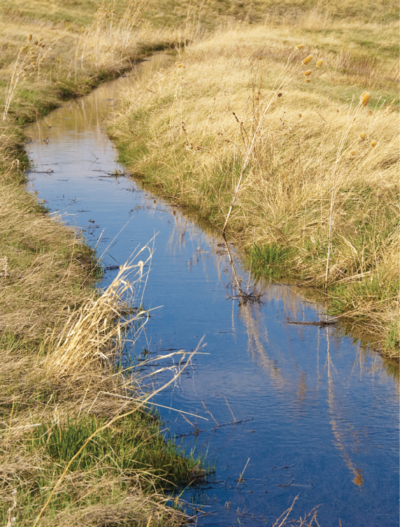 Cover photo of small irrigation ditch