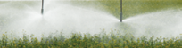 header photo of irrigation sprayers