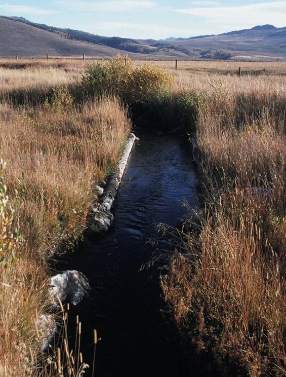 Photo of irrigation ditch through meadow in fall.