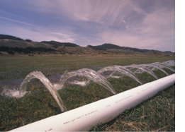 irrigation using gated pipe