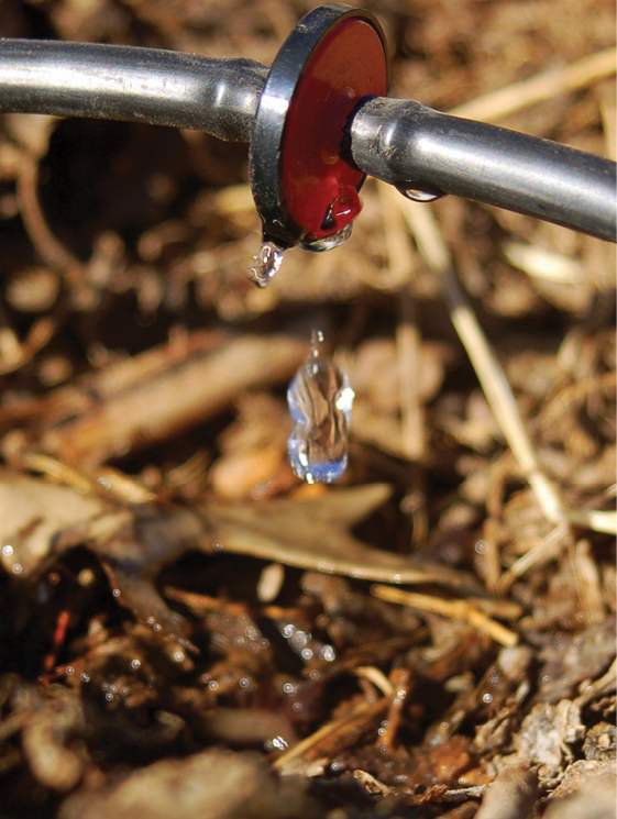 photo of drip irrigation pipe