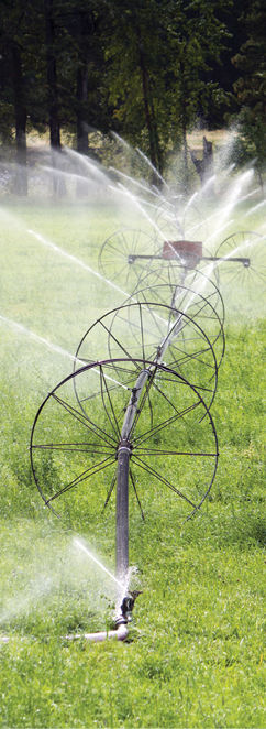 photo of irrigation wheel in alfalfa