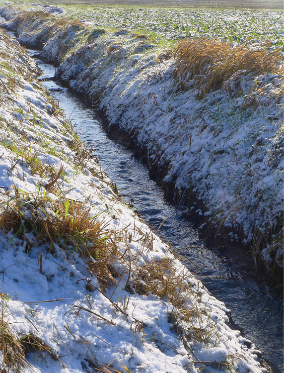 back cover photo of irrigation ditch in winter