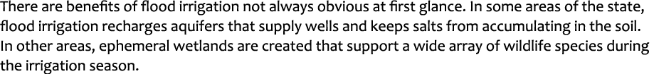 There are benefits of flood irrigation not always obvious at first glance. In some areas of the state, flood irrigati...