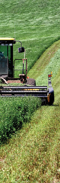 photo of hay swather mowing alfalfa