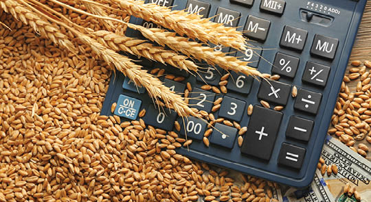 Header photo of wheat, calculator, cash