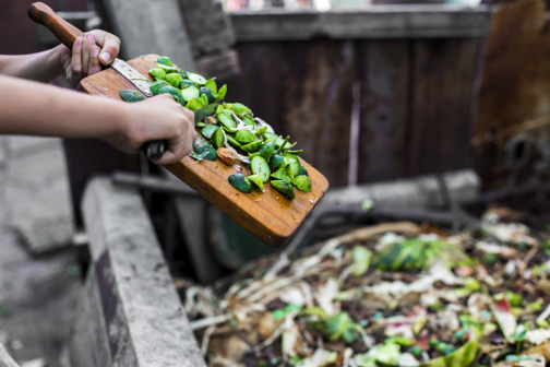photo of hands scraping vegetable scraps into a compost pile