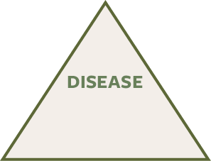 Disease triangle: Top point = host. Bottom right point = environment. Bottom left point = pathogen. 