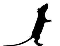 Silhouette of mouse of standing on hind legs.