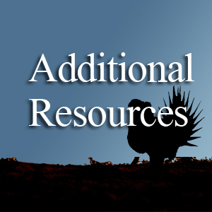 Additional Resources