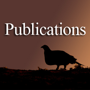 Publications