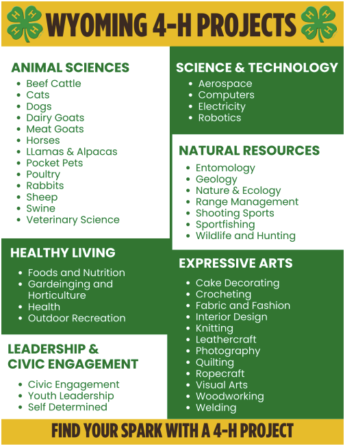 List of Wyoming 4-H Project Areas