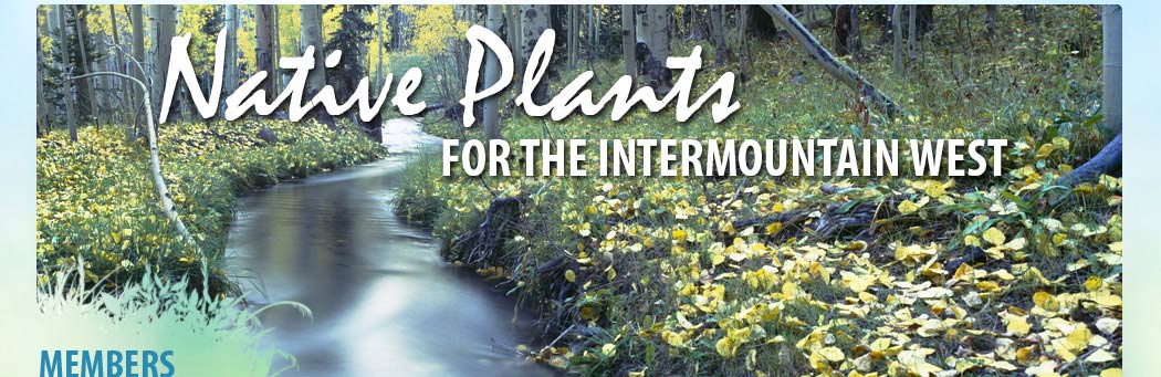 Native Plants for the Intermountain West: Members